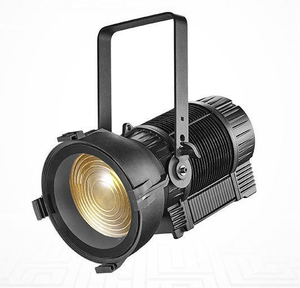 Waterproof 300W Color Led Fresnel Spot Light for Studio Room FD-FI63