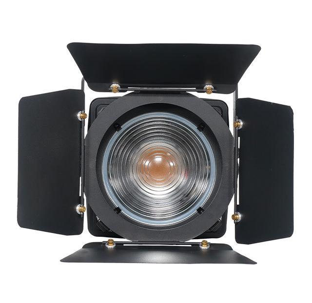 Fanless Noiseless 100W Folding Led Fresnel Spot Light FD-F74